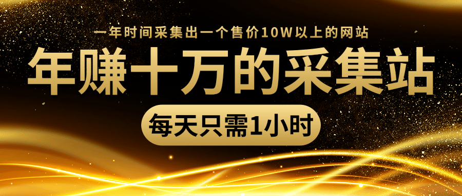 年赚十万的采集站，每天却只需要1小时，一年时间采集出一个售价10W以上的网站-林文副业站