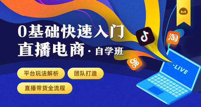 0基础快速入门直播电商课程：直播平台玩法解析-团队打造-带货全流程等环节-林文副业站