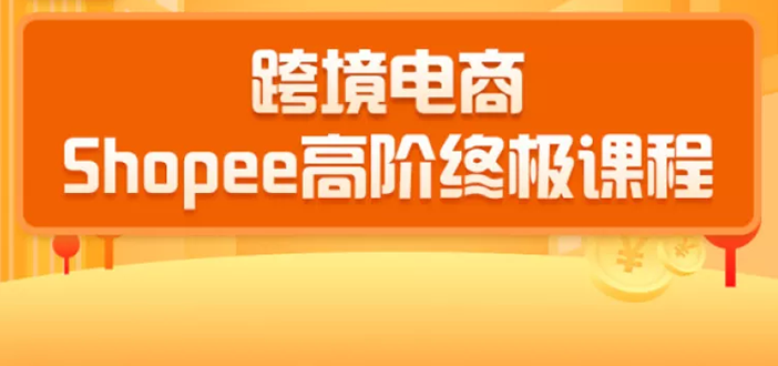 2020跨境电商蓝海新机会-SHOPEE大卖特训营：高阶终极课程（16节课）-林文副业站