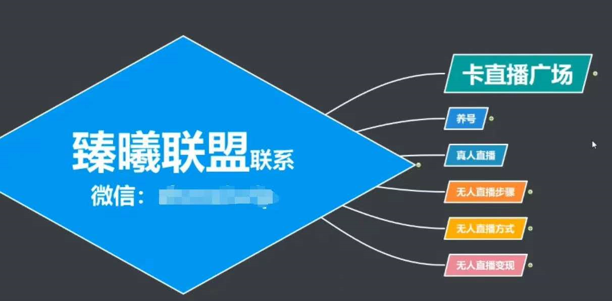 臻曦联盟，最新无人直播万人在线技术理原及详细操作步骤解析（视频教程）-林文副业站