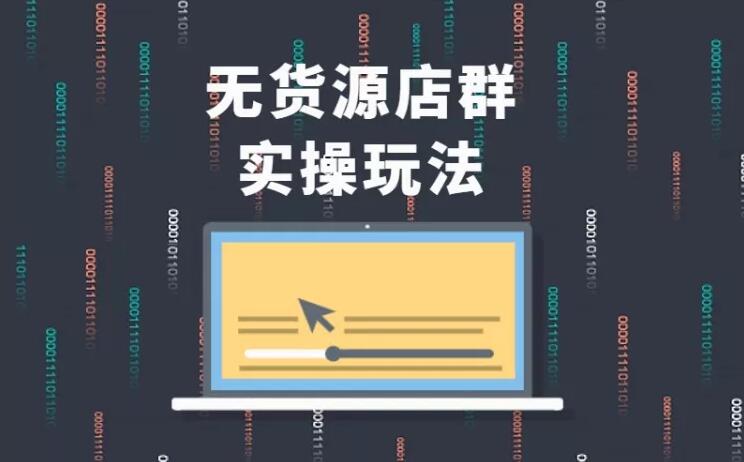 无货源店群实操玩法，蓝海选品的独特思路，店群软件操作方法（45节视频课）-林文副业站