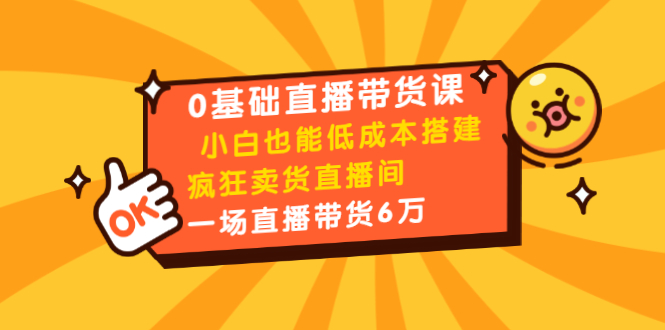 0基础直播带货课：小白也能低成本搭建疯狂卖货直播间：1场直播带货6万-林文副业站