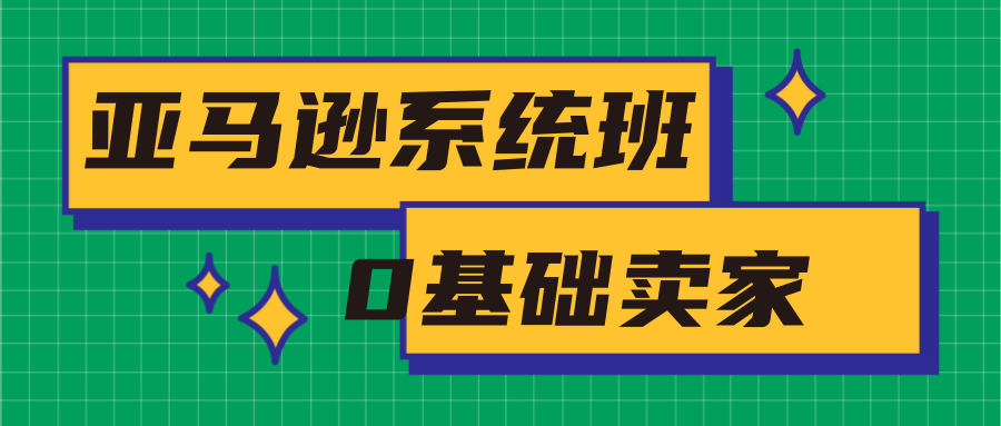 亚马逊系统班，专为0基础卖家量身打造，亚马逊运营流程与架构-林文副业站