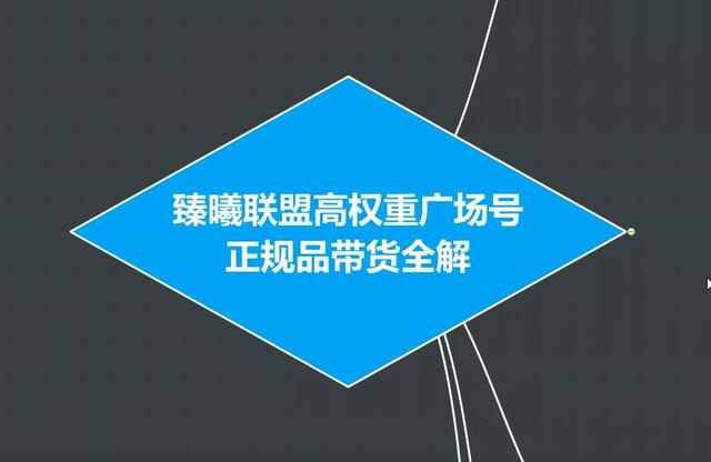 臻曦联盟抖音高权重广场号无人直播正规品带货全解-林文副业站