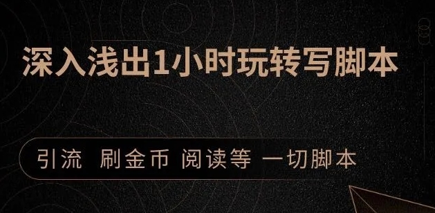 引流脚本实战课：1小时深入浅出视频实操讲解，教你0基础学会写引流脚本-林文副业站