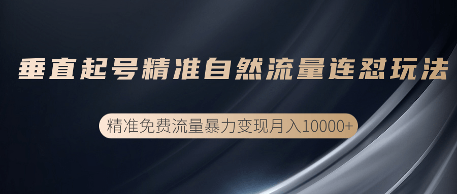 垂直起号精准自然流量连爆玩法，精准引流暴力变现月入10000+-林文副业站
