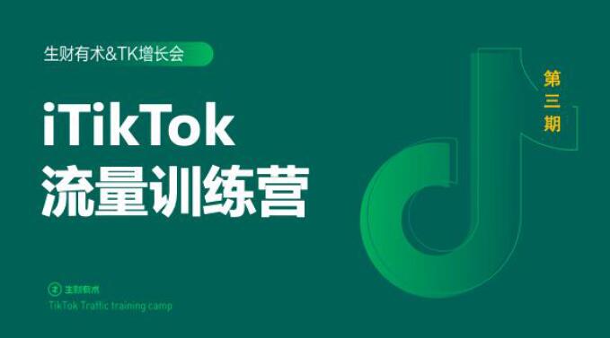 2020最新TikTok流量增长训练营（完结）附PPT-林文副业站
