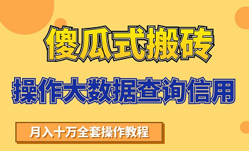 搬砖操作大数据查询信用项目赚钱教程，祝你快速月入6万-林文副业站