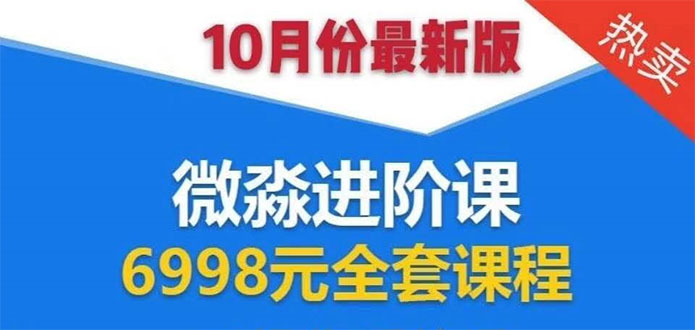 微淼理财进阶课全套视频：助你早点实现财务自由，理论学习+案例分析+实操-林文副业站