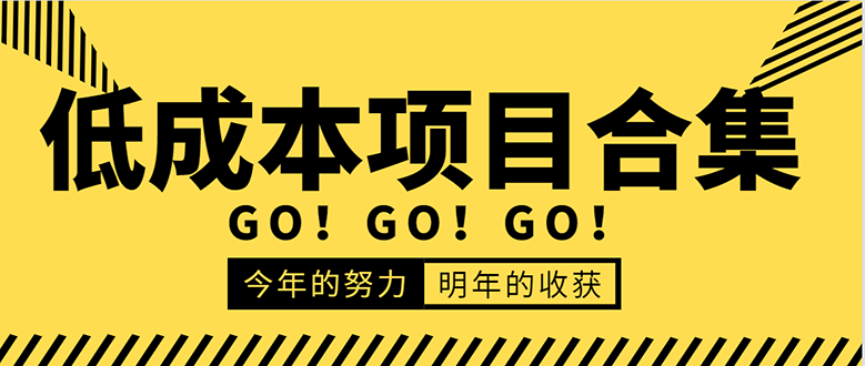 低成本零成本项目合集：赚钱快的慢的、暴利的，线上线下的，价值万元资料-林文副业站