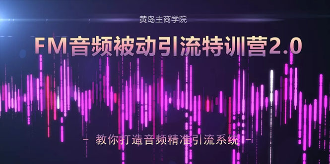 黄岛主·FM音频引流特训营2.0：独家引流模式，单账号50W+播放量，轻松变现-林文副业站