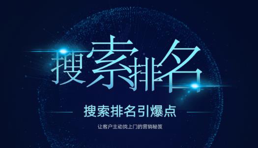 搜索排名引爆点：教你快速掌握各个搜索引擎排名算法，让客户主动找上你的秘笈-林文副业站