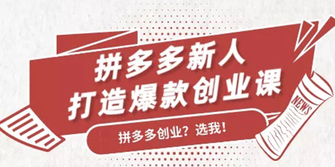 拼多多新人打造爆款创业课：快速引流持续出单，适用于所有新人-林文副业站