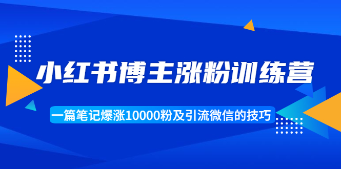 小红书博主涨粉训练营：一篇笔记爆涨10000粉及引流微信的技巧-林文副业站