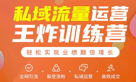 私域流量运营王炸训练营：全网引流+裂变涨粉+私域运营+高效成交-林文副业站