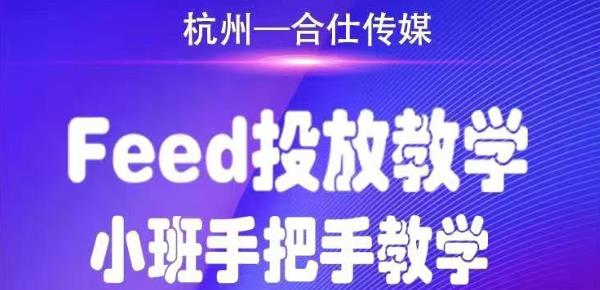 合仕传媒Feed投放教学，手把手教学，开车烧钱必须自己会-林文副业站