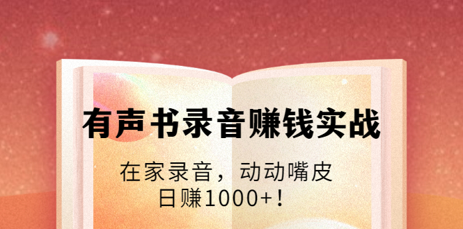 有声书录音赚钱实战：在家录音，动动嘴皮，日赚1000+！-林文副业站