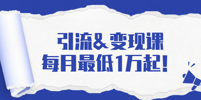 引流&变现课：分享一整套流量方法以及各个渠道收入，每月最低1万起！-林文副业站