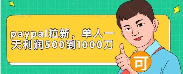 Paypal拉新赚美刀项目，单人一天利润500-1000刀【视频课程】-林文副业站
