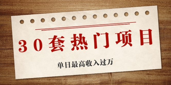 30套热门项目：单日最高收入过万 (网赚项目、朋友圈、涨粉套路、抖音、快手)等-林文副业站