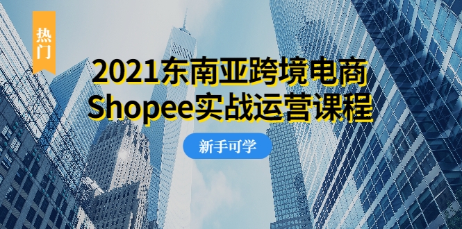 2021东南亚跨境电商Shopee实战运营课程，0基础、0经验、0投资的副业项目-林文副业站