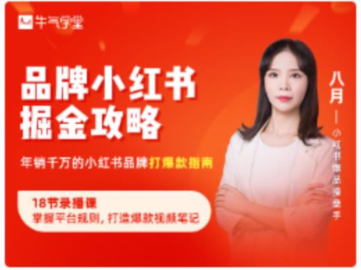 品牌小红书掘金攻略，年销千万的小红书品牌打爆款指南-林文副业站