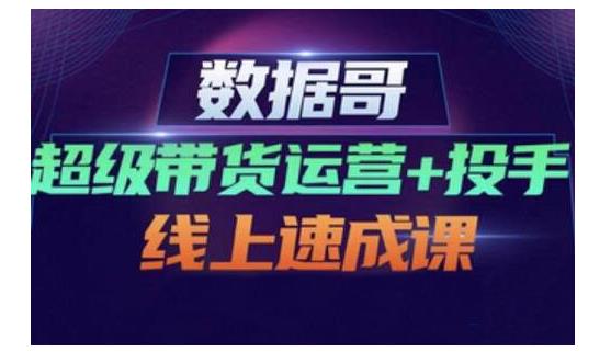 数据哥·超级带货运营+投手线上速成课，快速提升运营和熟悉学会投手技巧-林文副业站