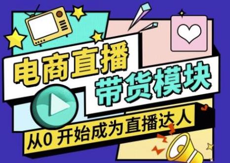 大鹏·电商直播带货课，系统学习直播带货各环节技巧和套路-林文副业站