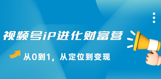 视频号iP进化财富营，从0到1，从定位到变现赚钱（价值1577元）-林文副业站