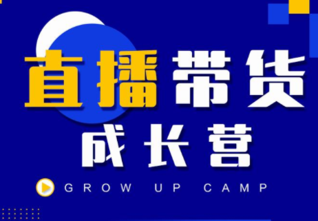 抖商公社直播带货成长营，教你快速通过直播带货变现，抢占直播电商的流量红利-林文副业站
