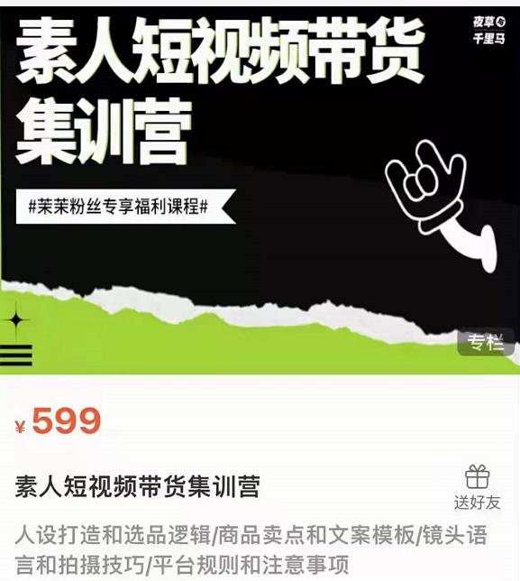 夜草与千里马素人短视频带货集训营，薛辉团队价值599-林文副业站