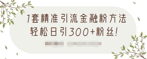 1套精准引流金融粉方法，轻松日引300+粉丝-林文副业站