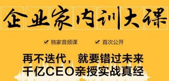 企业家内训大课，未来企业必学经验，价值1299元-林文副业站