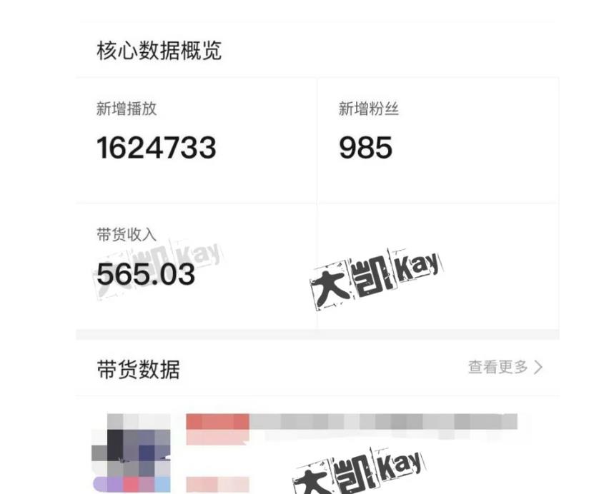 大凯进阶圈新玩法之拼多多视频玩法，利润大概一个号一天能有500~1500的左右!-林文副业站