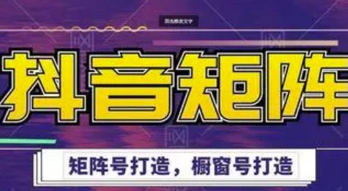 高鹏圈·抖音带货矩阵项目，起号成功率100%，出单率100%！-林文副业站