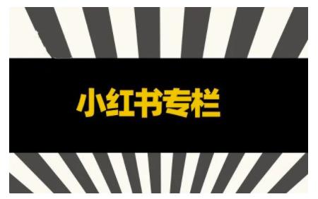 品牌医生·小红书全链营销干货，5个起盘案例，7个内容方向，n条避坑指南-林文副业站