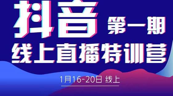 2022美尊学堂-抖音直播线上特训营价值4980元-林文副业站