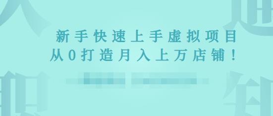 2022年虚拟项目实战指南，新手从0打造月入上万店铺-林文副业站
