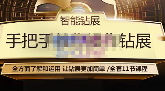 智能钻展手把手教你操作钻展，全方面了解和运用，让钻展更加简单-林文副业站
