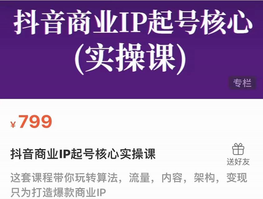 抖音商业IP起号核心实操课，带你玩转算法，流量，内容，架构，变现-林文副业站