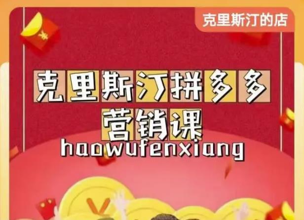 克里斯汀拼多多运营课，适合小白初涉平台，低成本入门-林文副业站