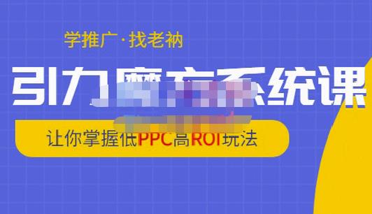 老衲·引力魔方系统课，让你掌握低PPC高ROI玩法，价值299元-林文副业站