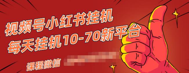 视频号小红书抖音挂机项目，小白无脑操作，按照要求来，单号每天几十米-林文副业站