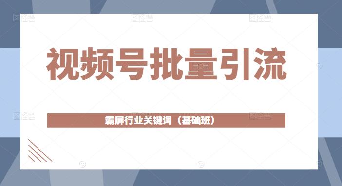 视频号批量引流，霸屏行业关键词（基础班）全面系统讲解视频号玩法-林文副业站