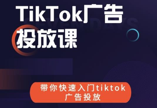 跨境B哥tiktok广告投放课，带你快速入门tiktok广告投放价值1680元-林文副业站
