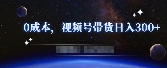 零基础视频号带货赚钱项目，0成本0门槛轻松日入300+【视频教程】-林文副业站
