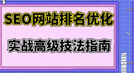 樊天华·SEO网站排名优化实战高级技法指南，让客户找到你-林文副业站