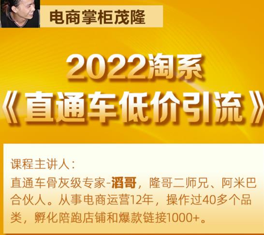 茂隆2022直通车低价引流玩法，教大家如何低投入高回报的直通车玩法-林文副业站