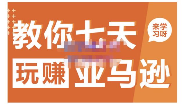 晟尧跨境·教你七天玩赚亚马逊，教你轻松玩赚亚马逊，适合小白学习-林文副业站