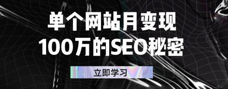单个网站月变现100万的SEO秘密，百分百做出赚钱站点-林文副业站